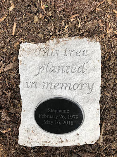 Family Dentist in Shelby Township MI